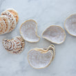 Load image into Gallery viewer, Ceramic Oyster Shells

